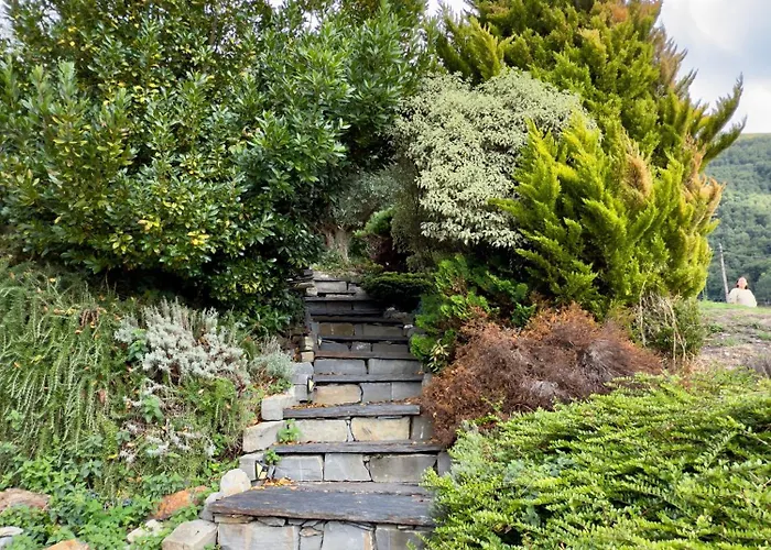 Montagne * Saint-Pastous