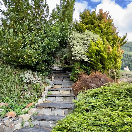 Montagne * Saint-Pastous